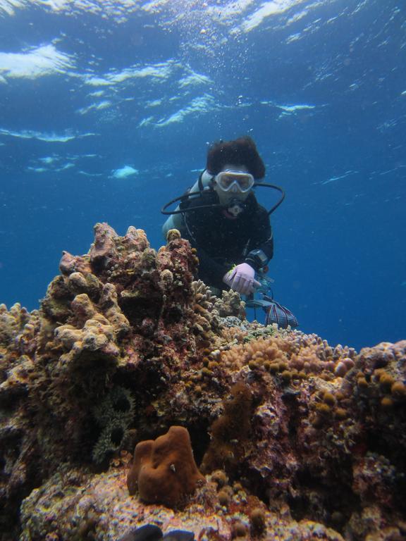 Nusantara Diving Centre Resort & Spa 마나도 외부 사진