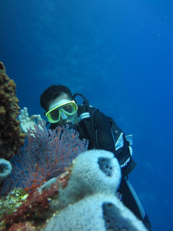 Nusantara Diving Centre Resort & Spa 마나도 외부 사진